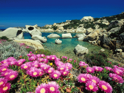 27. April – Beltane auf Sardinien: Frühling, Neumond und die Kraft der heiligen Orte&nbsp;🌿